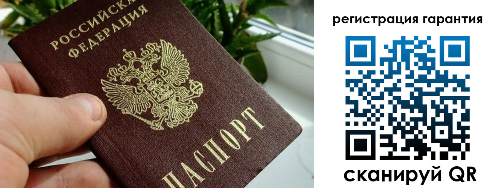 временная регистрация надежно в Владимирской области